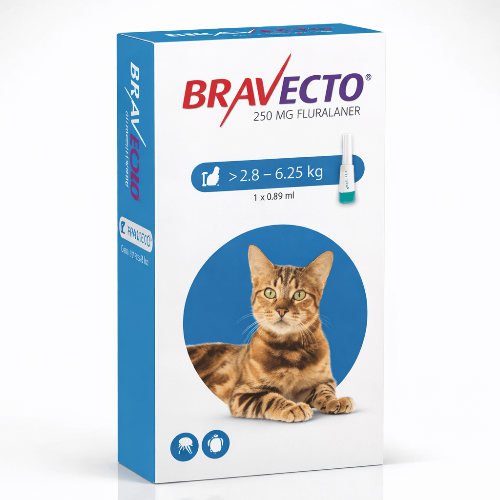 Bravecto Gato 250 mg Antiparasitario para Gatos de 2,8 a 6,25 Kg