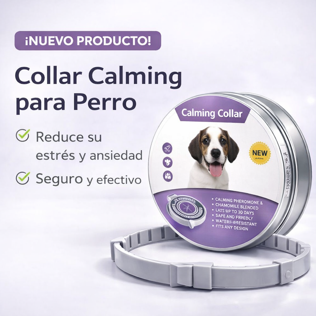 Banner oferta